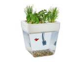 Набор для выращивания растений и ухода за рыбкой Акваферма (прозрачный, белый)