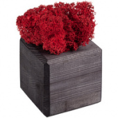 Декоративная композиция GreenBox Black Cube, красный