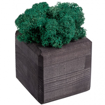 Декоративная композиция GreenBox Black Cube, бирюзовый